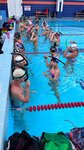 Swimtoday (Kommunisticheskaya Street, 60) ، مدرسة رياضية