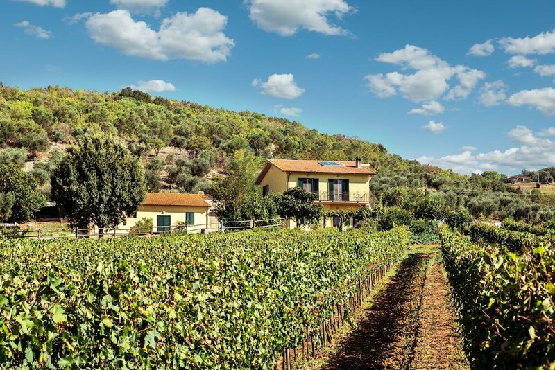 Гостиница Poggiolivi Agriturismo Bio in Maremma
