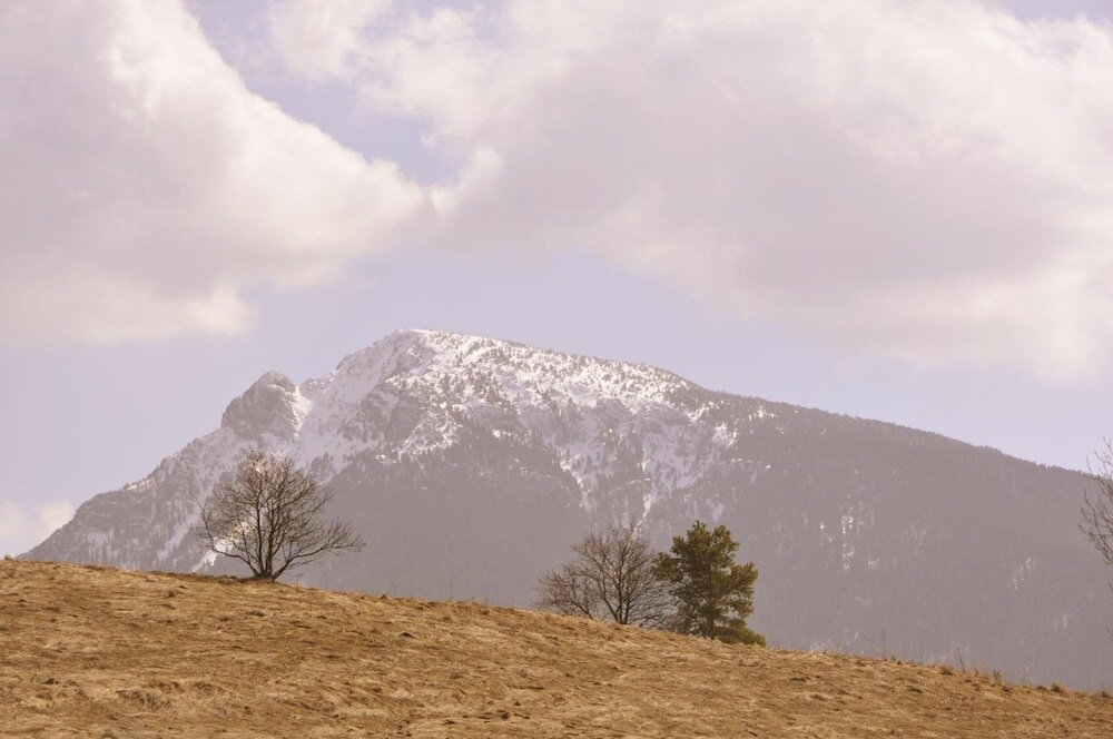 Фото Penzion Leštiny