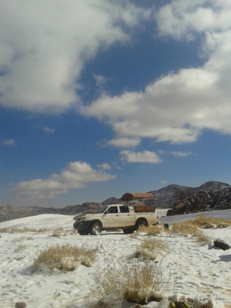 Фото Bedouin Traditions Camp