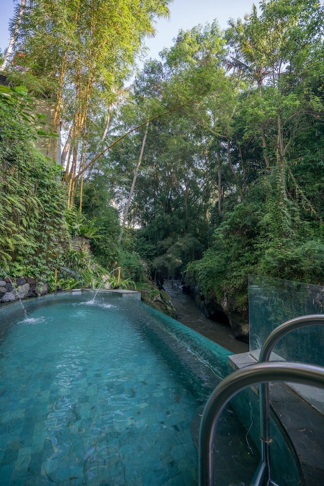 Фото SereS Springs Resort & SPA Singakerta