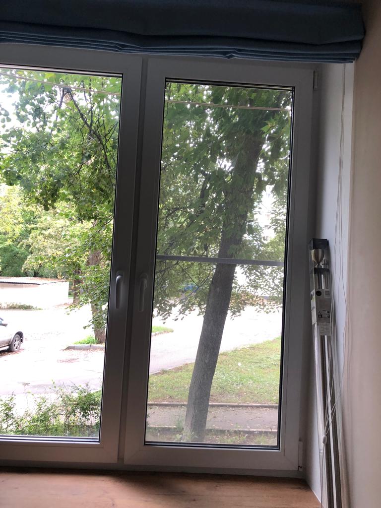 Фото Улитка