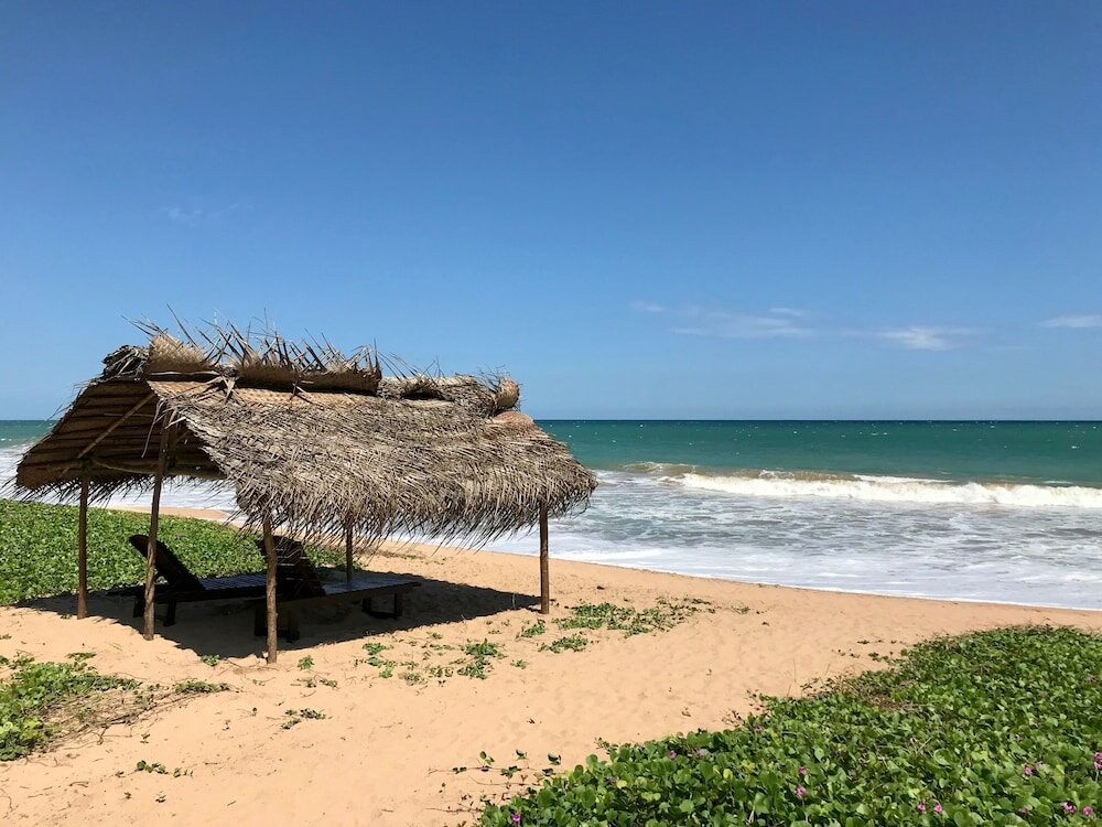 Фото Green Parrot Beach Resort