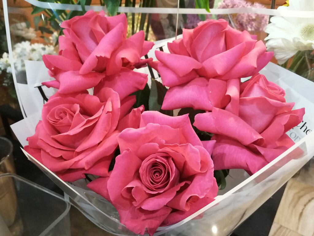 Владислав Степанов