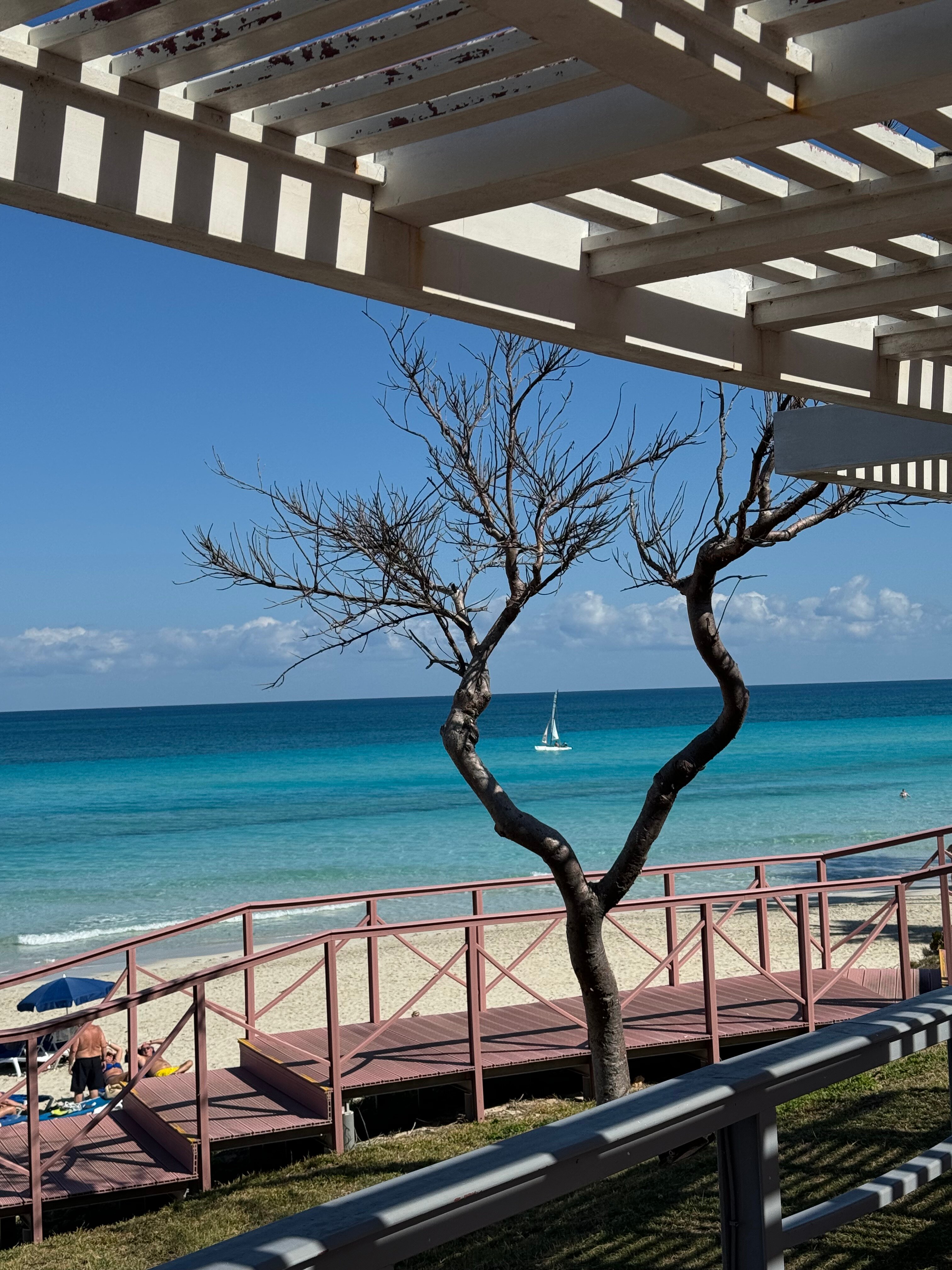 Фото Melia Varadero
