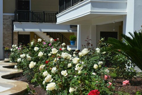 Апартаменты Sultan Homes Garden в Кемере