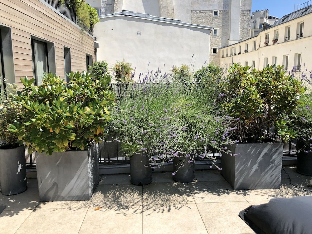 Фото Grand Hotel Lafayette