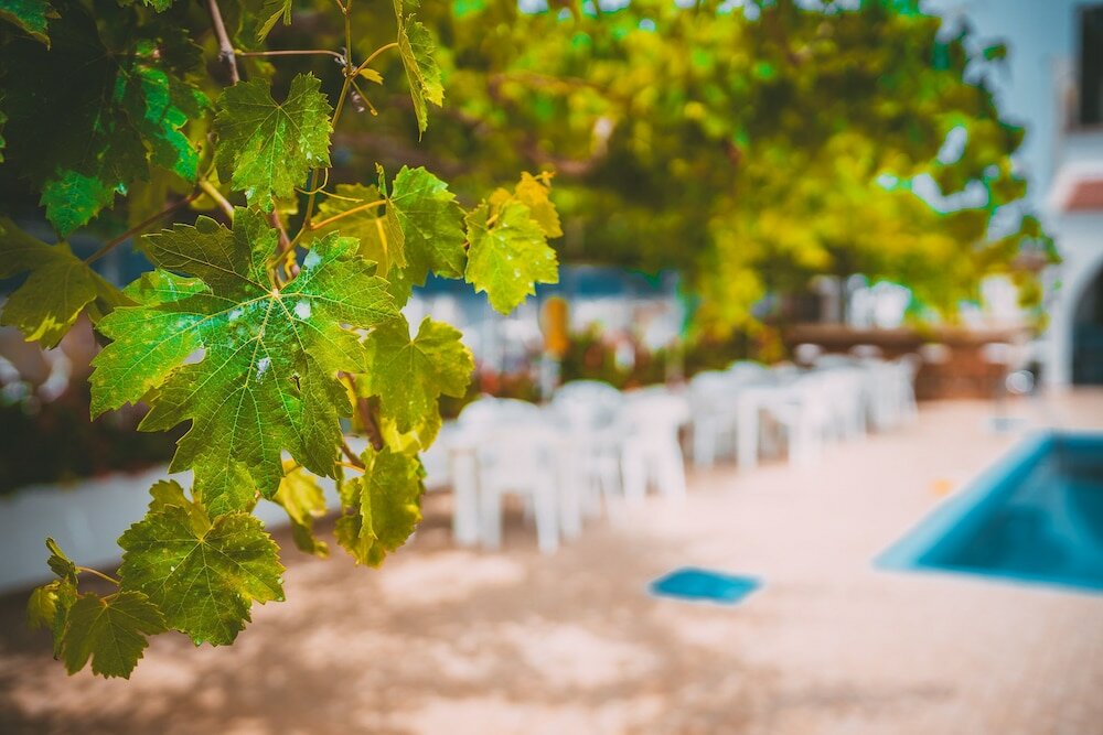 Фото Chrysland Hotel