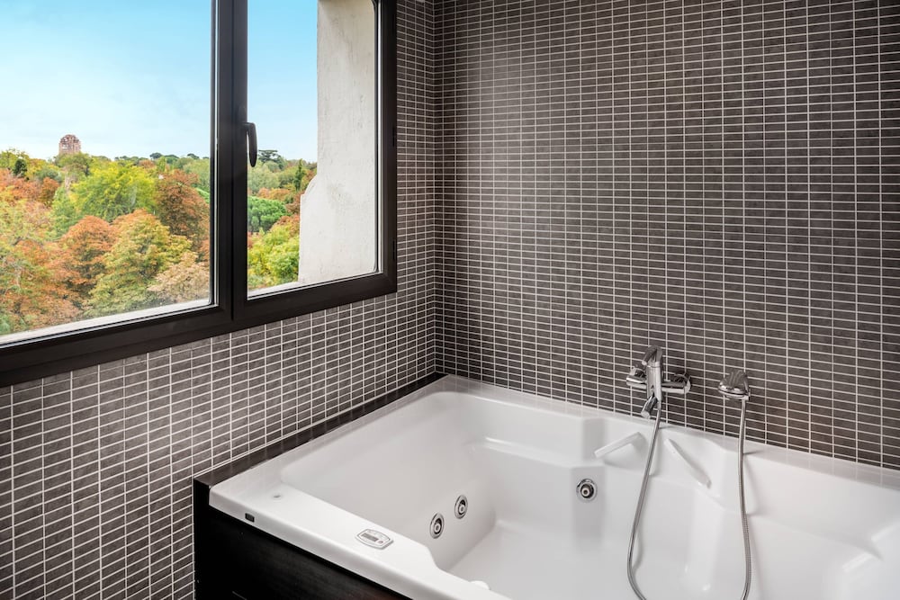 Фото Hotel Palacio Del Retiro, Autograph Collection