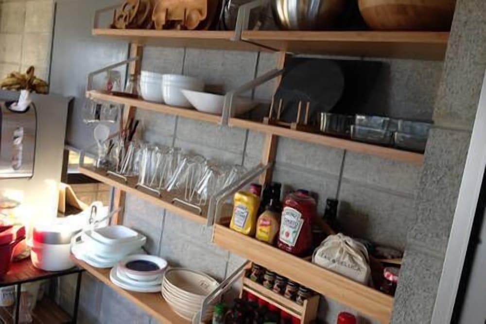 Фото Happy coral