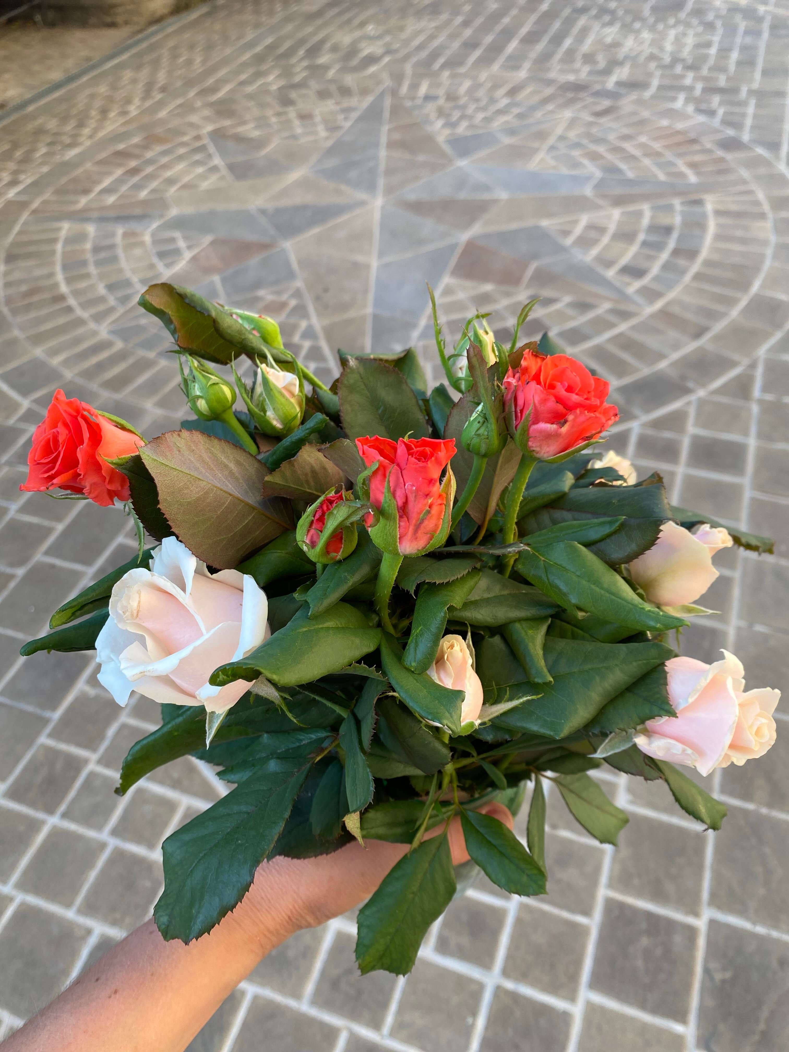 Фото Скифская долина