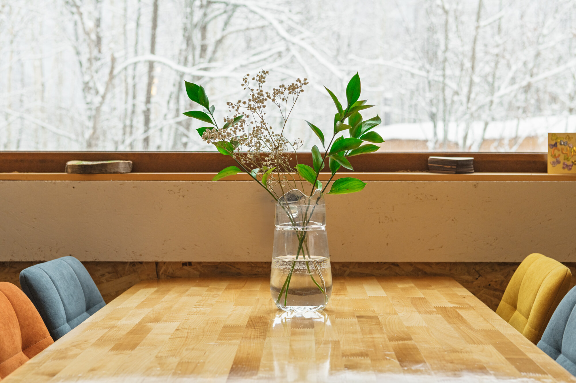 Фото Обитаемая Земля. Ойкумена