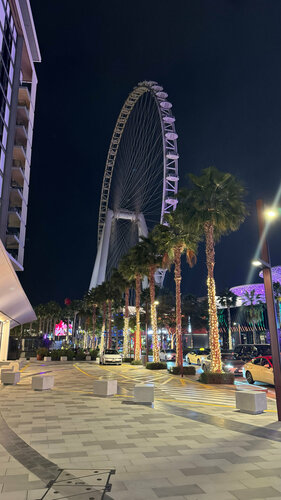 Внешний вид отеля Banyan Tree Dubai в Блууотерсе, фото 4