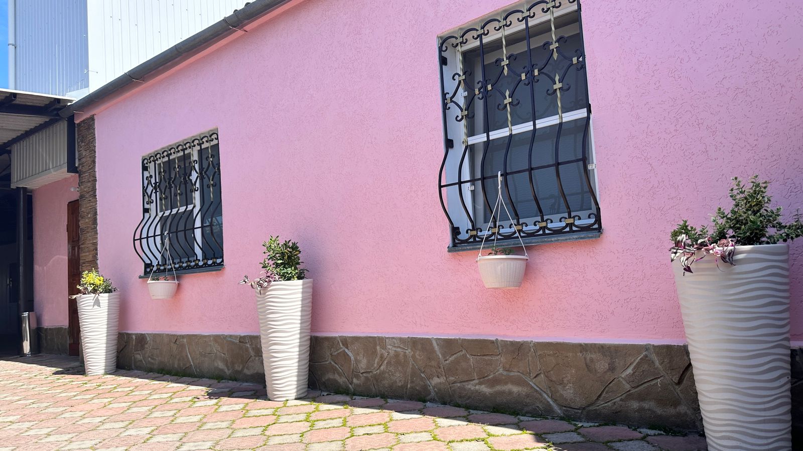 Фото Моника