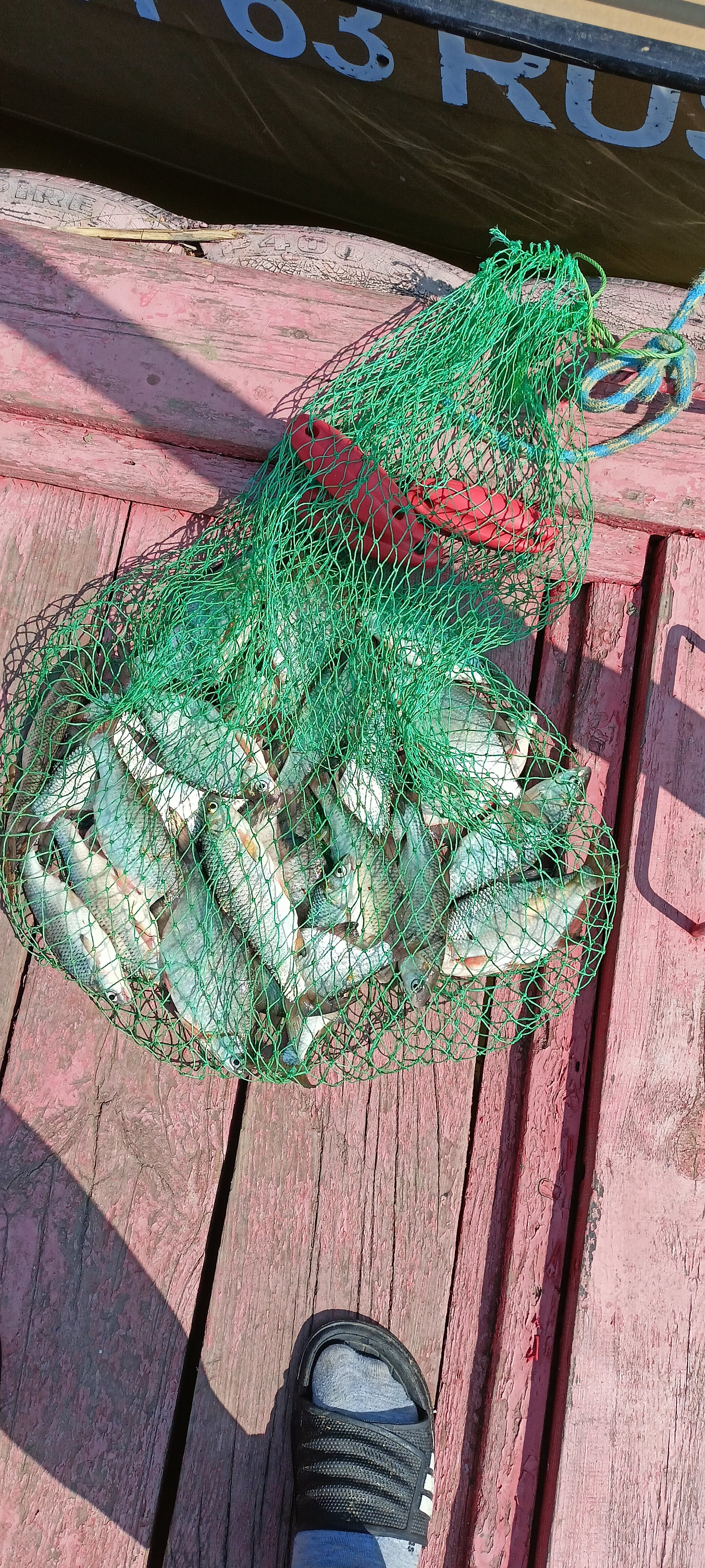 Фото Дед Щукарь