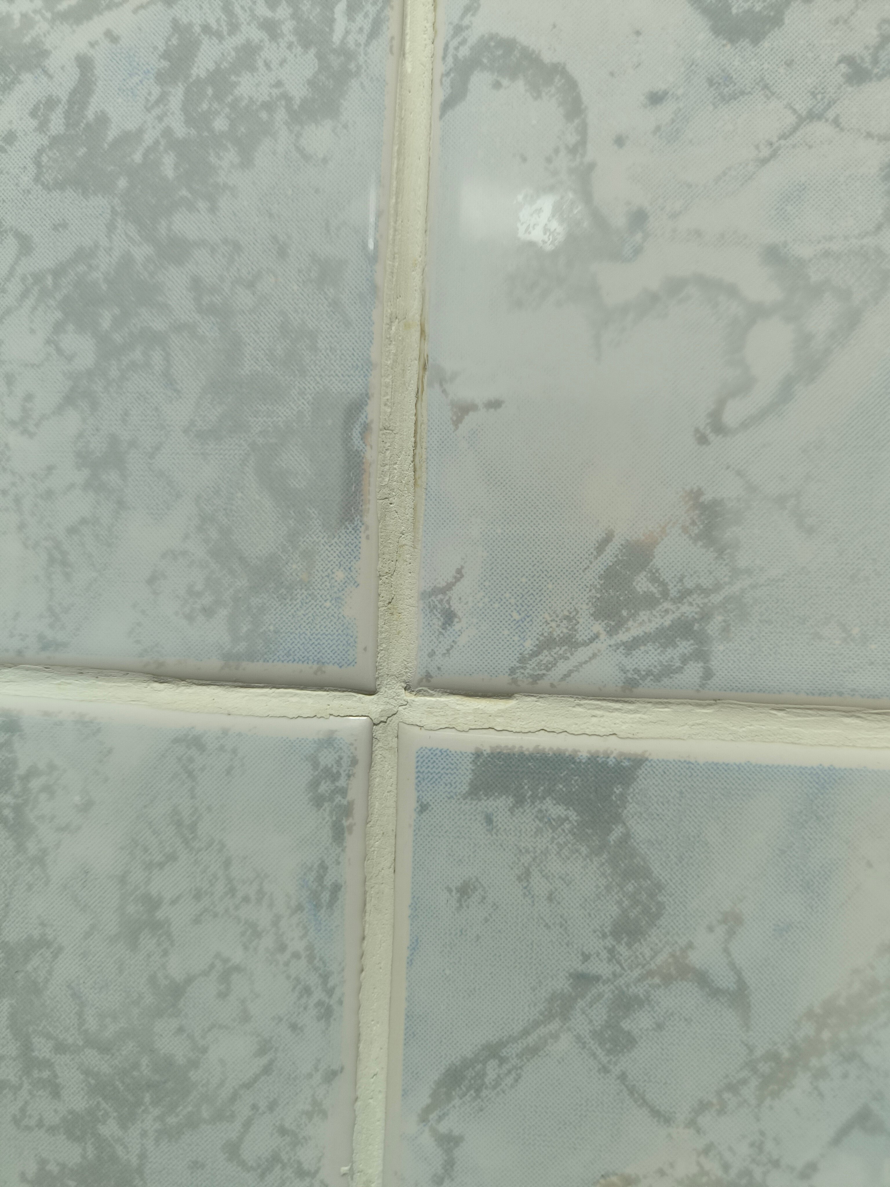 Фото Виконда