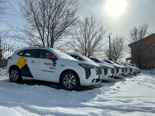 Bikinidagi gozal ayollar fotosuratlari