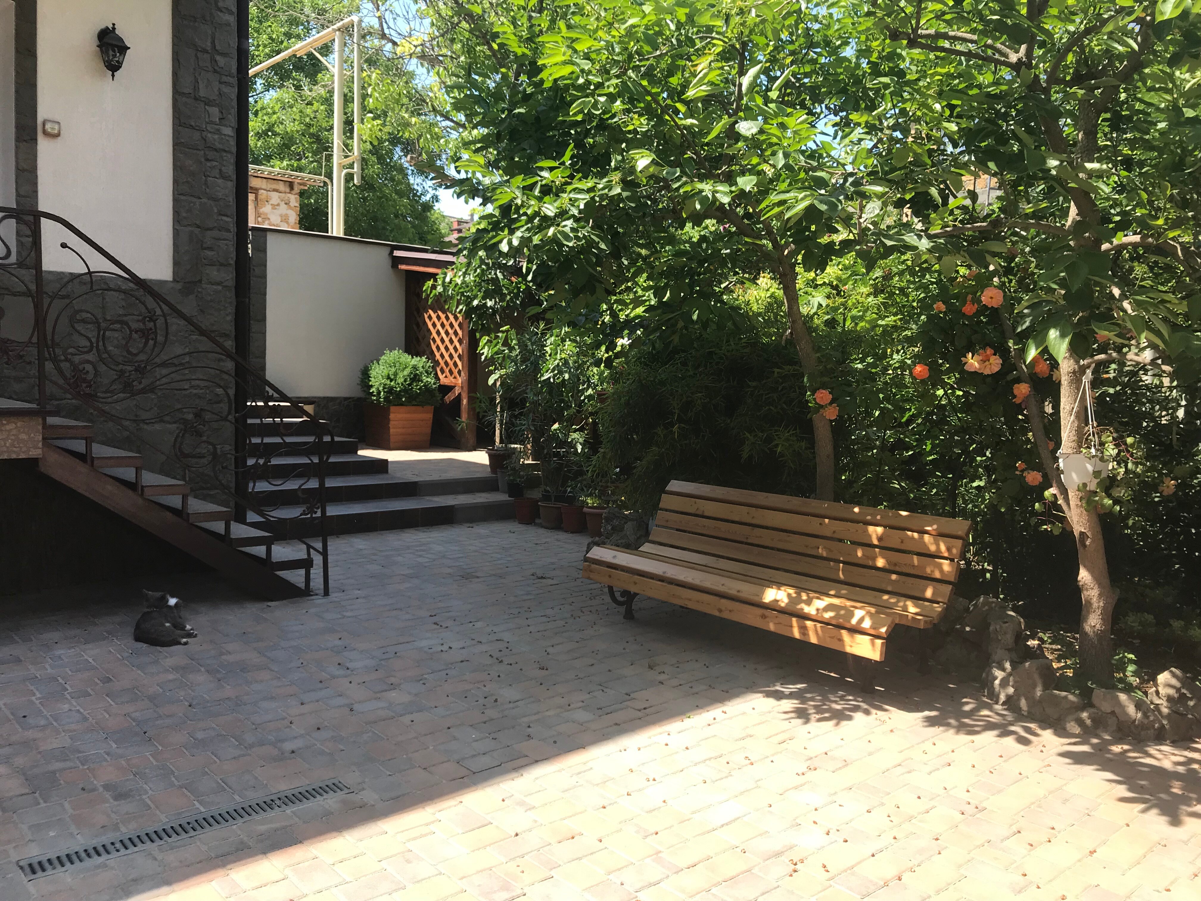 Фото Олимпия