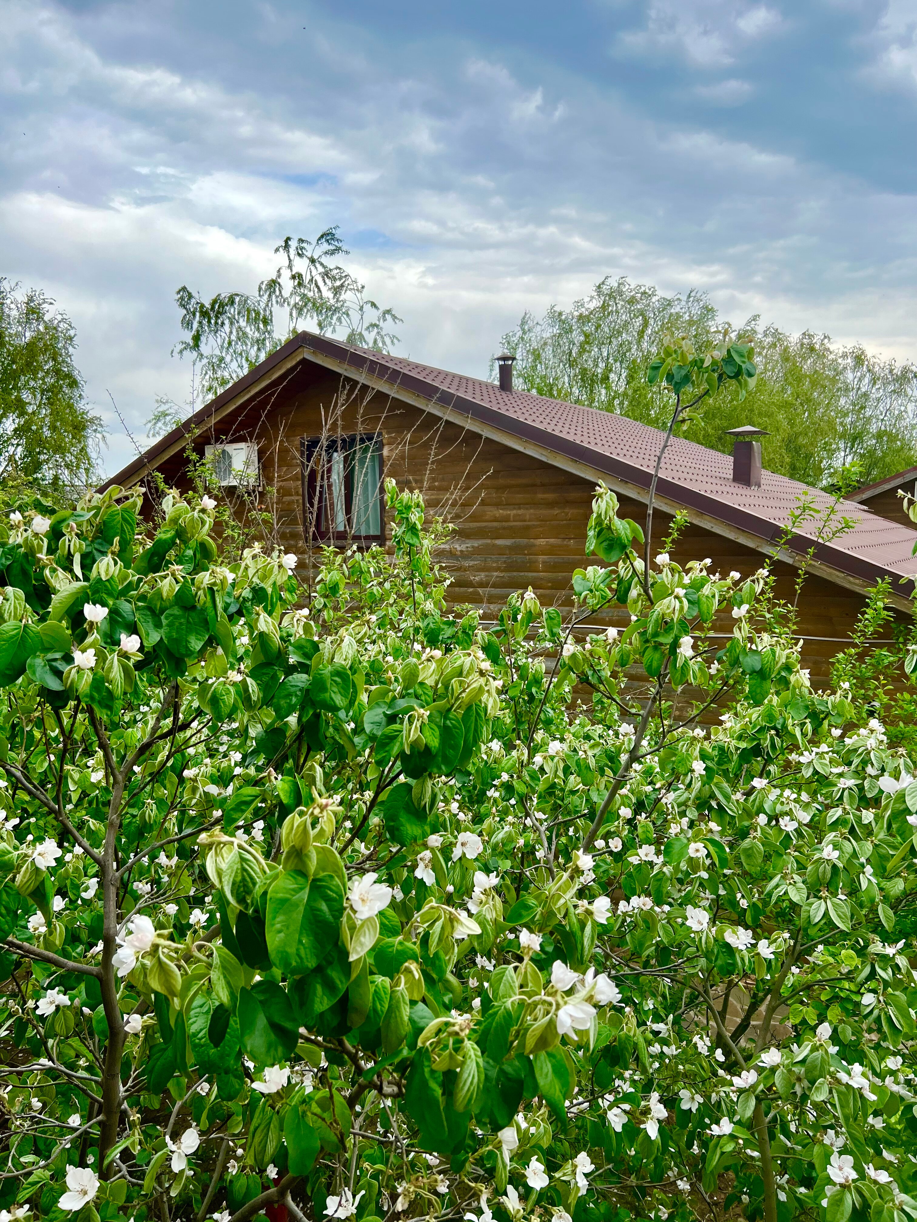 Фото Семь Островов