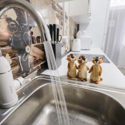 Фото Евражки