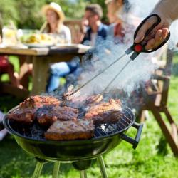 Фото Кипарис