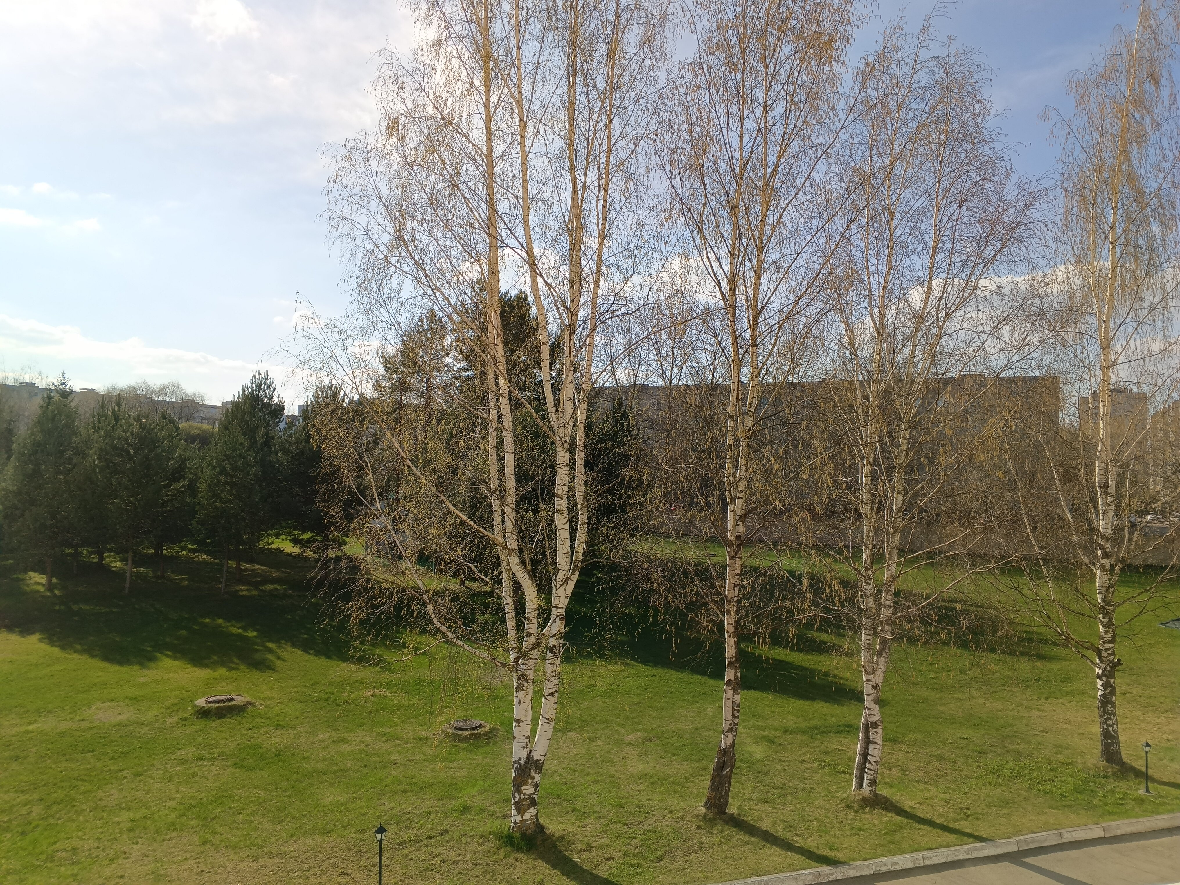 Фото Николаевский