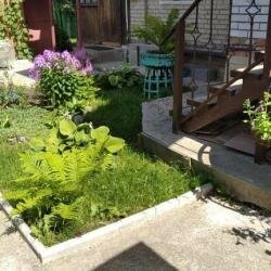 Blanket
