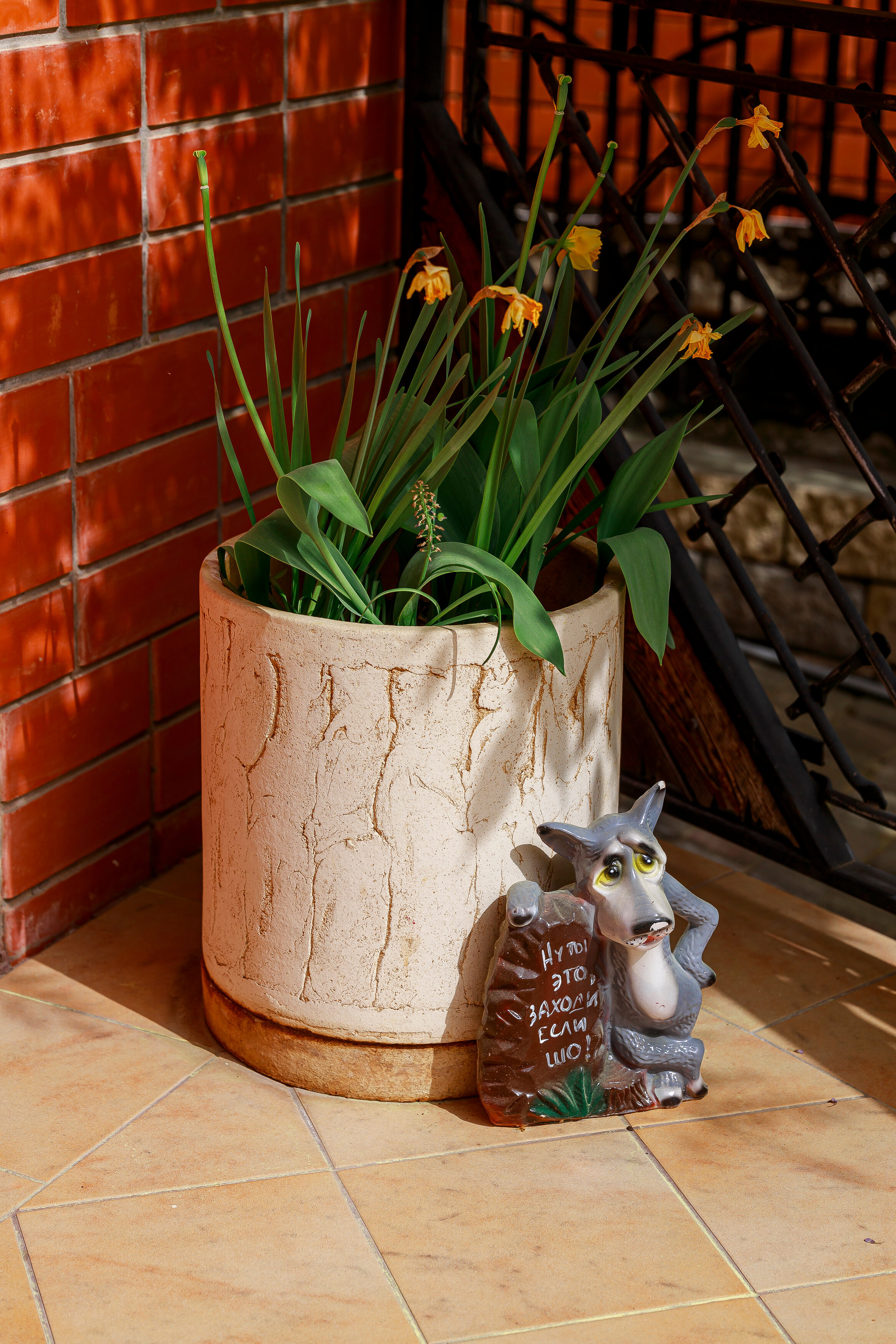 Фото На южном