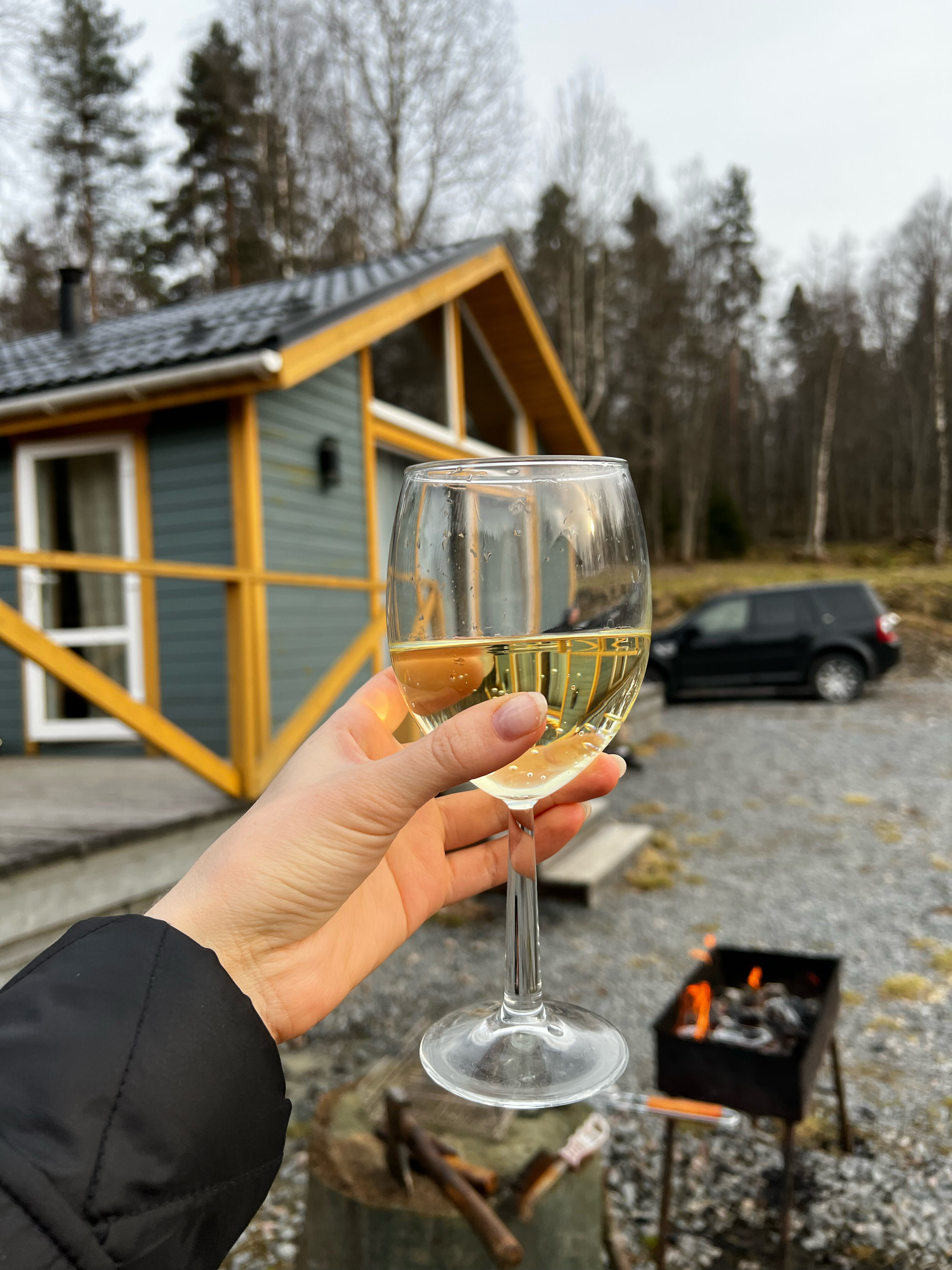 Фото Forest Park