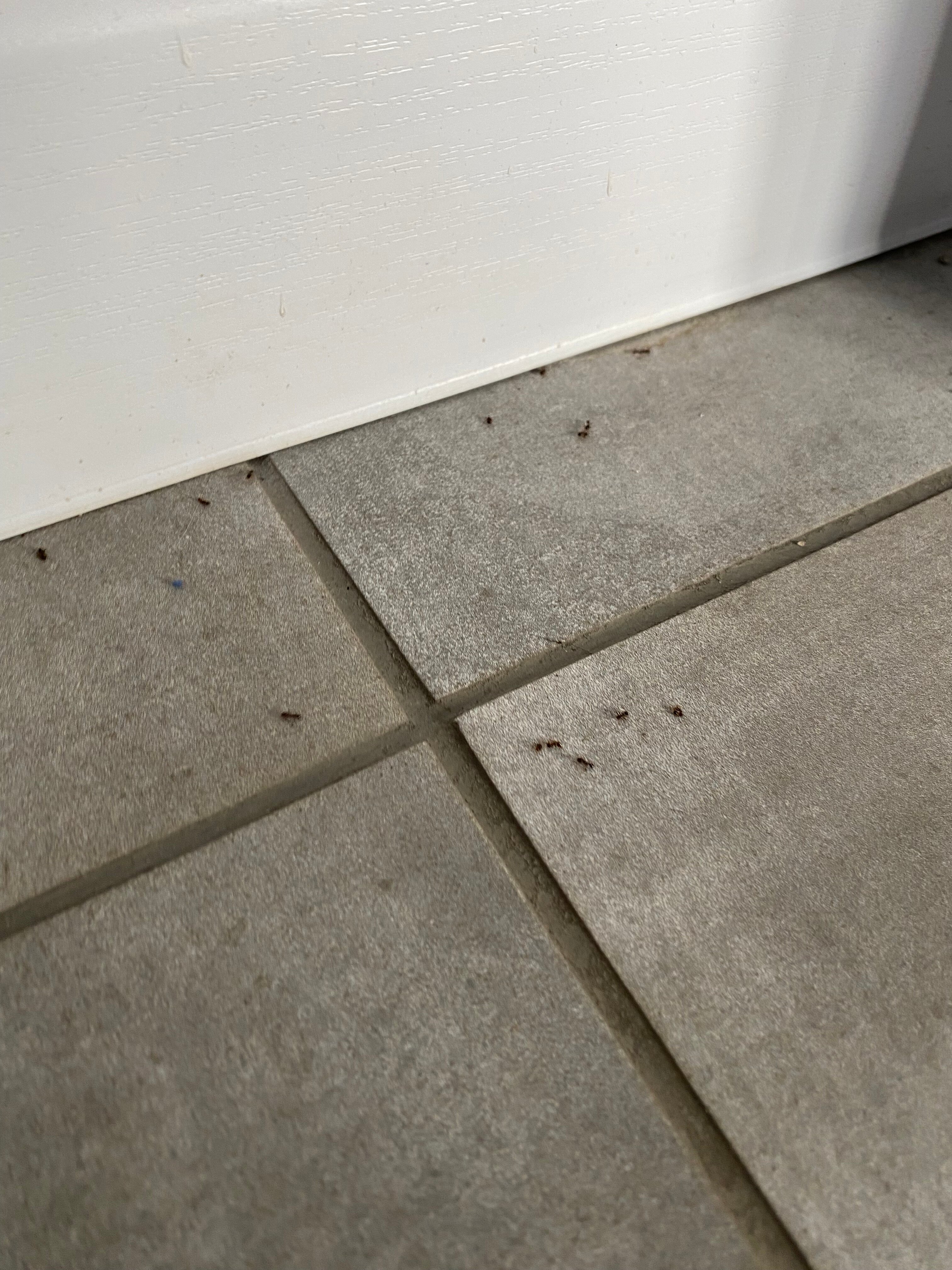 Фото Семейный отдых