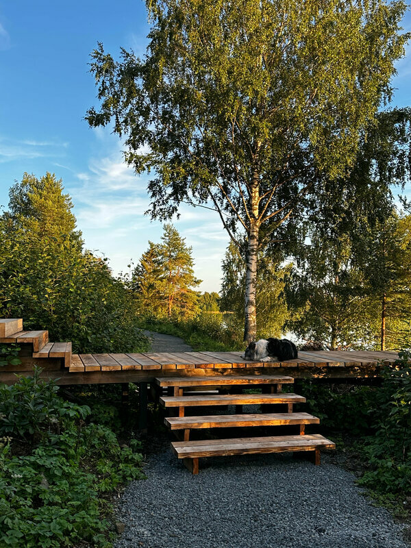 Фото Лунный свет