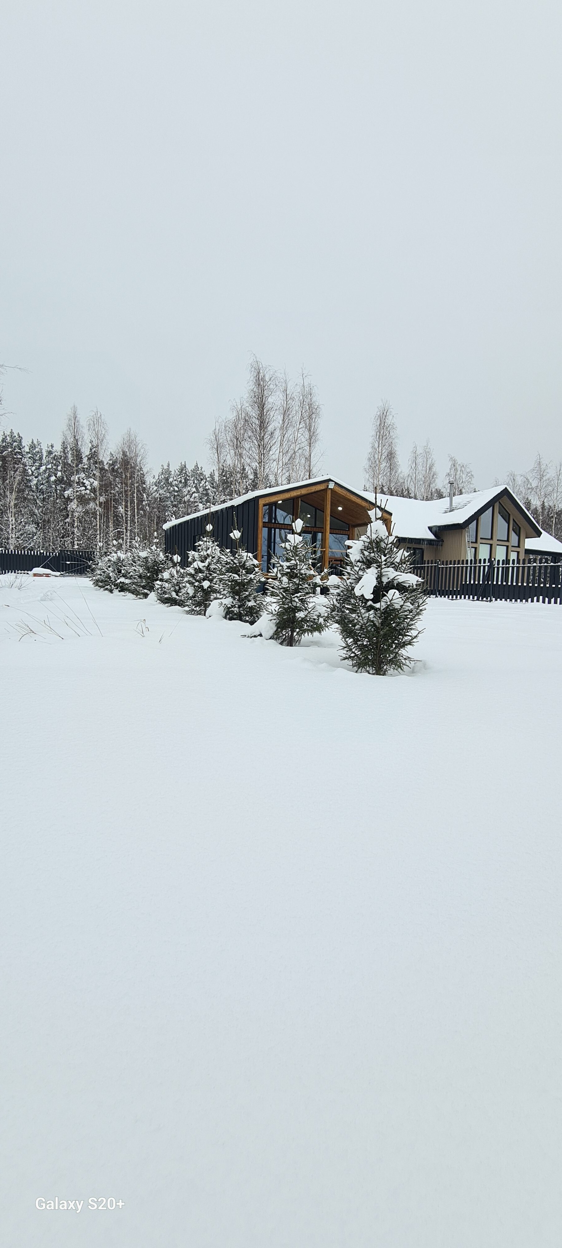 Фото Мамонт на озере