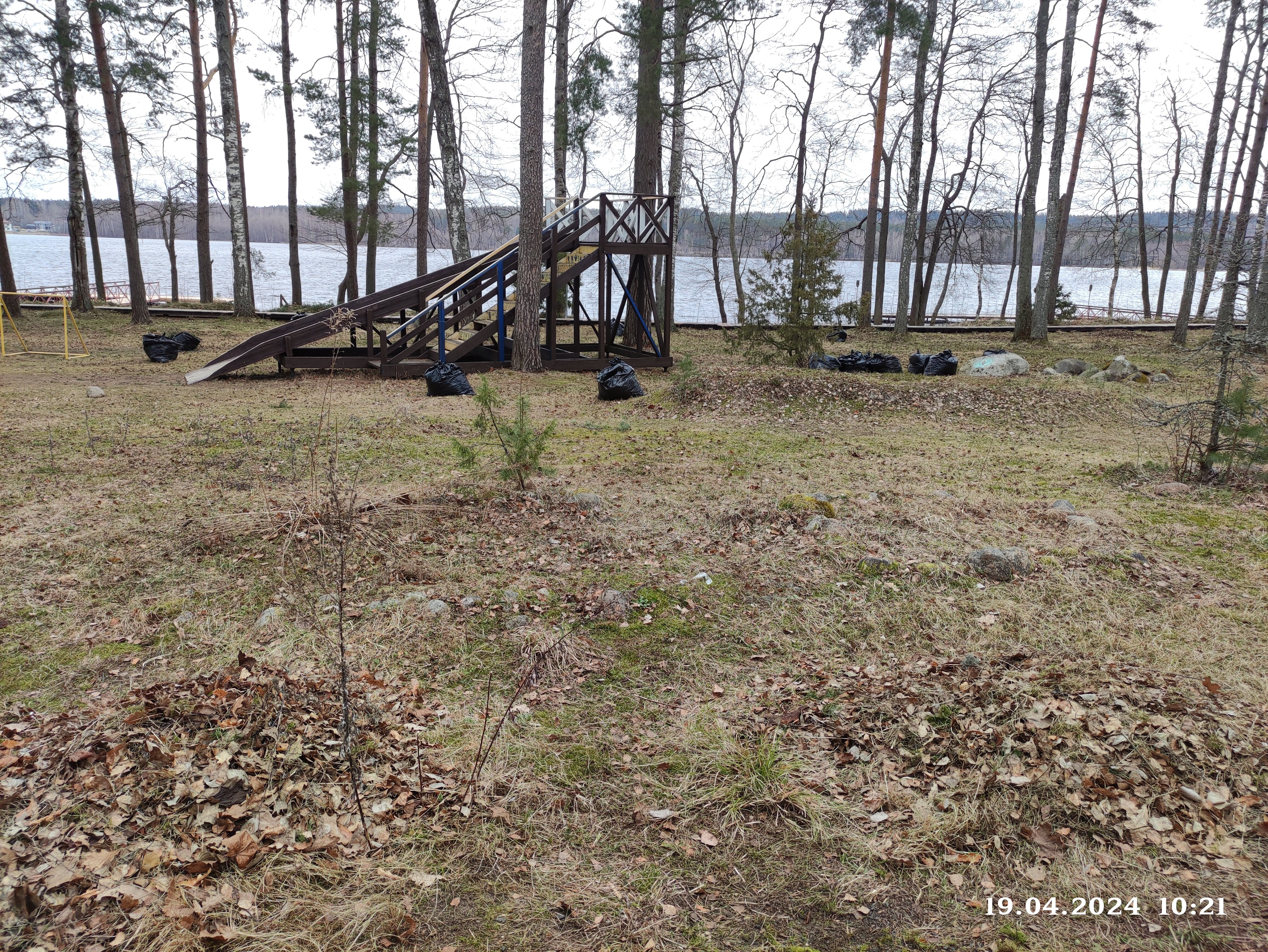 Фото Аврора