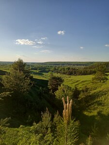 Степанов бугор (Tambovskiy munitsipalny okrug, Lysogorskiy selsovet), mountain peak