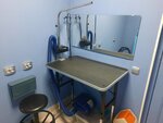 Grooming room (Krylov Street, 2) ، صالون حيوانات أليفة