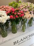 Blanche flowers (Kompozitorov Street, 10), flower shop