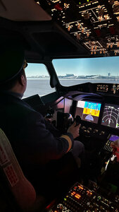 Flight simulator Liner 737 (Mira Street, 37), amusement ride