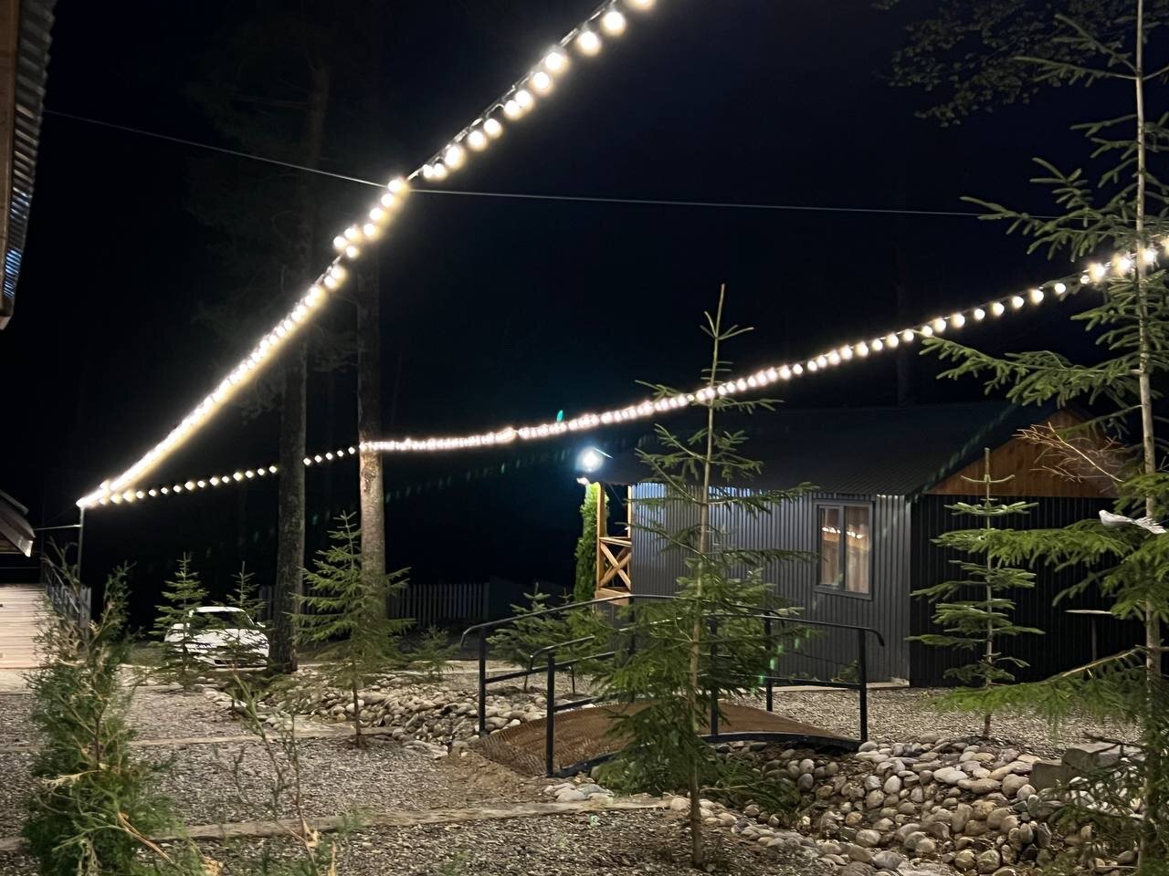 Фото Сосновка