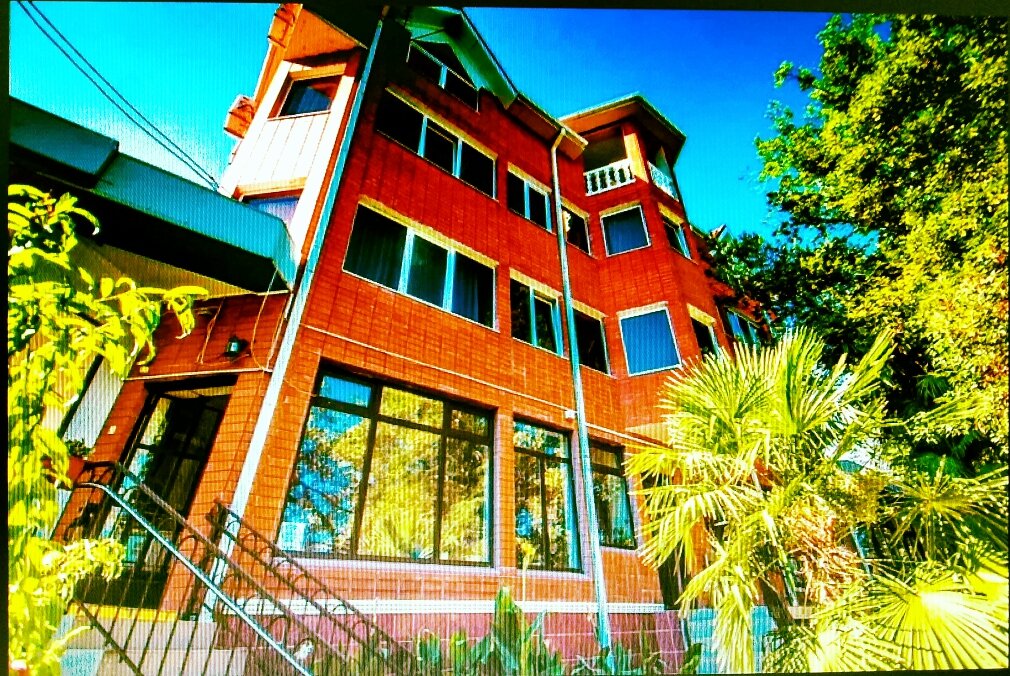 Фото Альбатрос