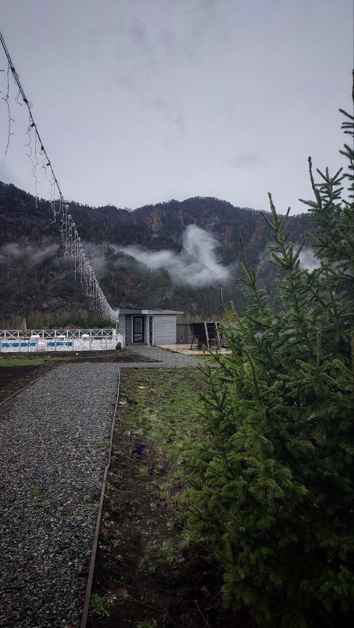 Фото Алтай Лотос