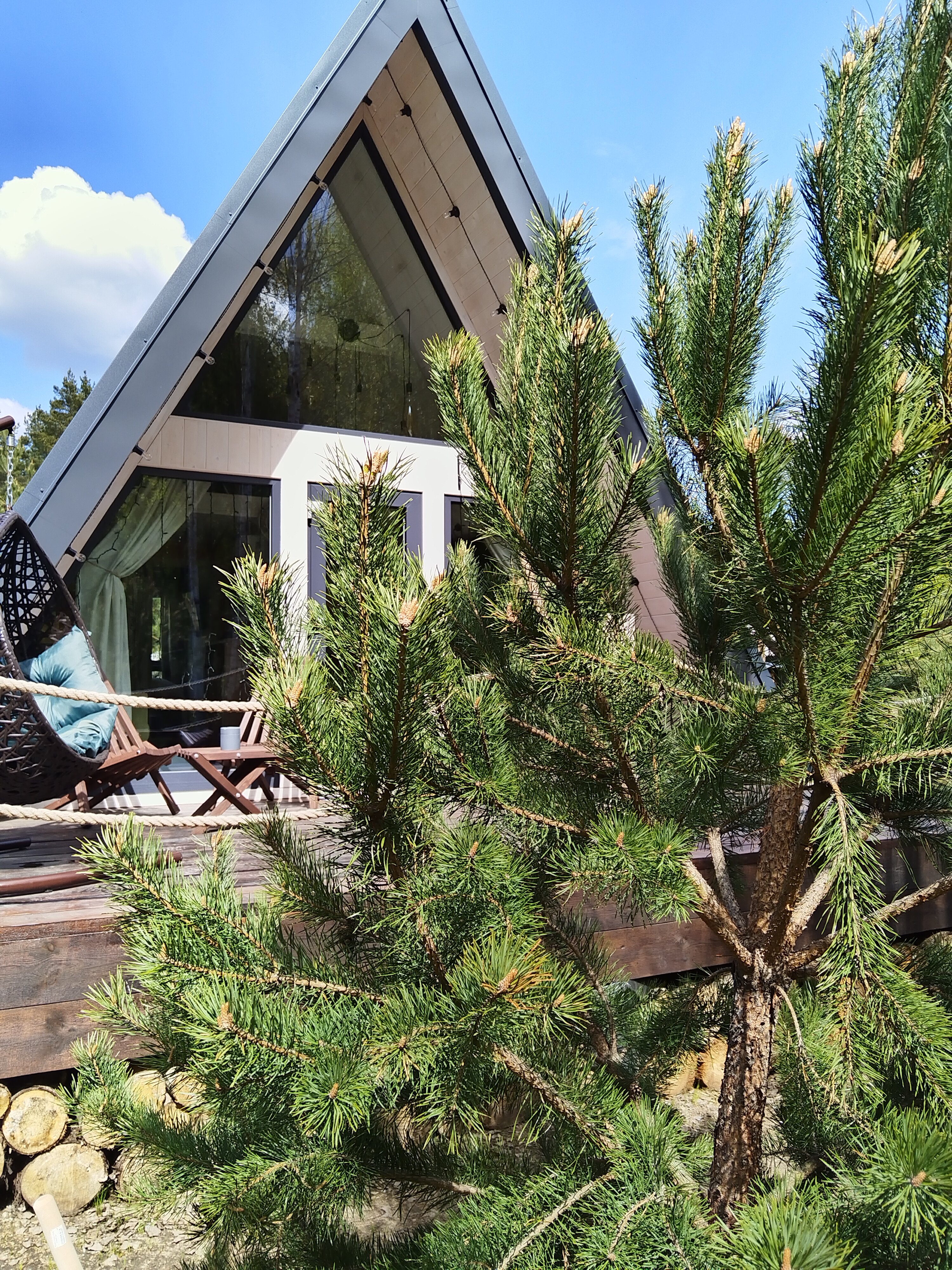 Фото А в лесу