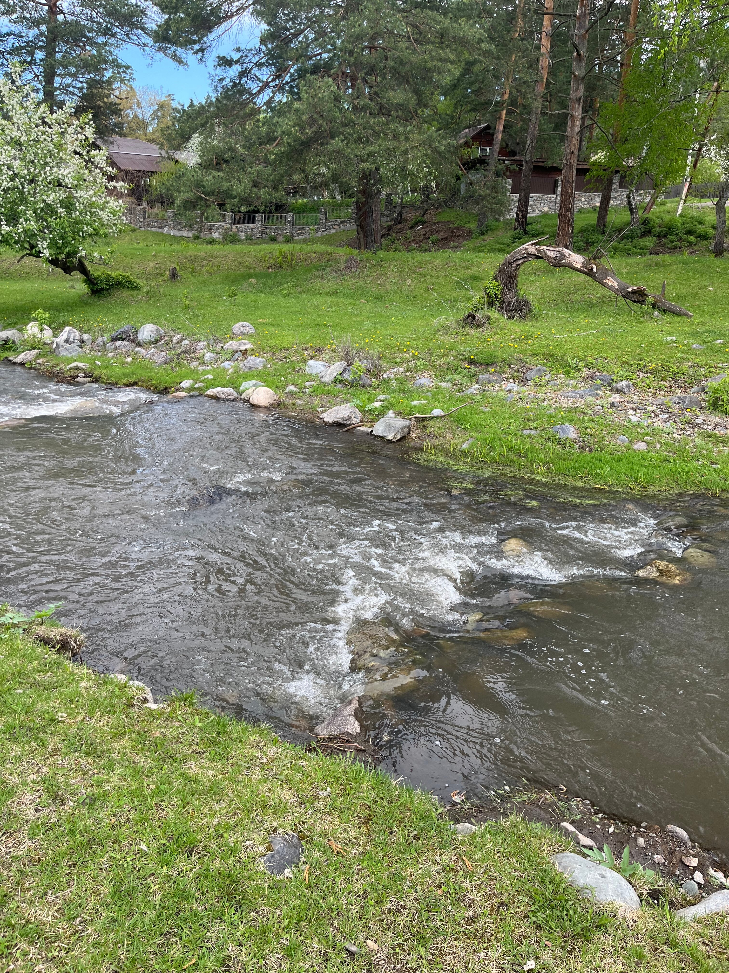 Фото Усадьба Горный Алтай