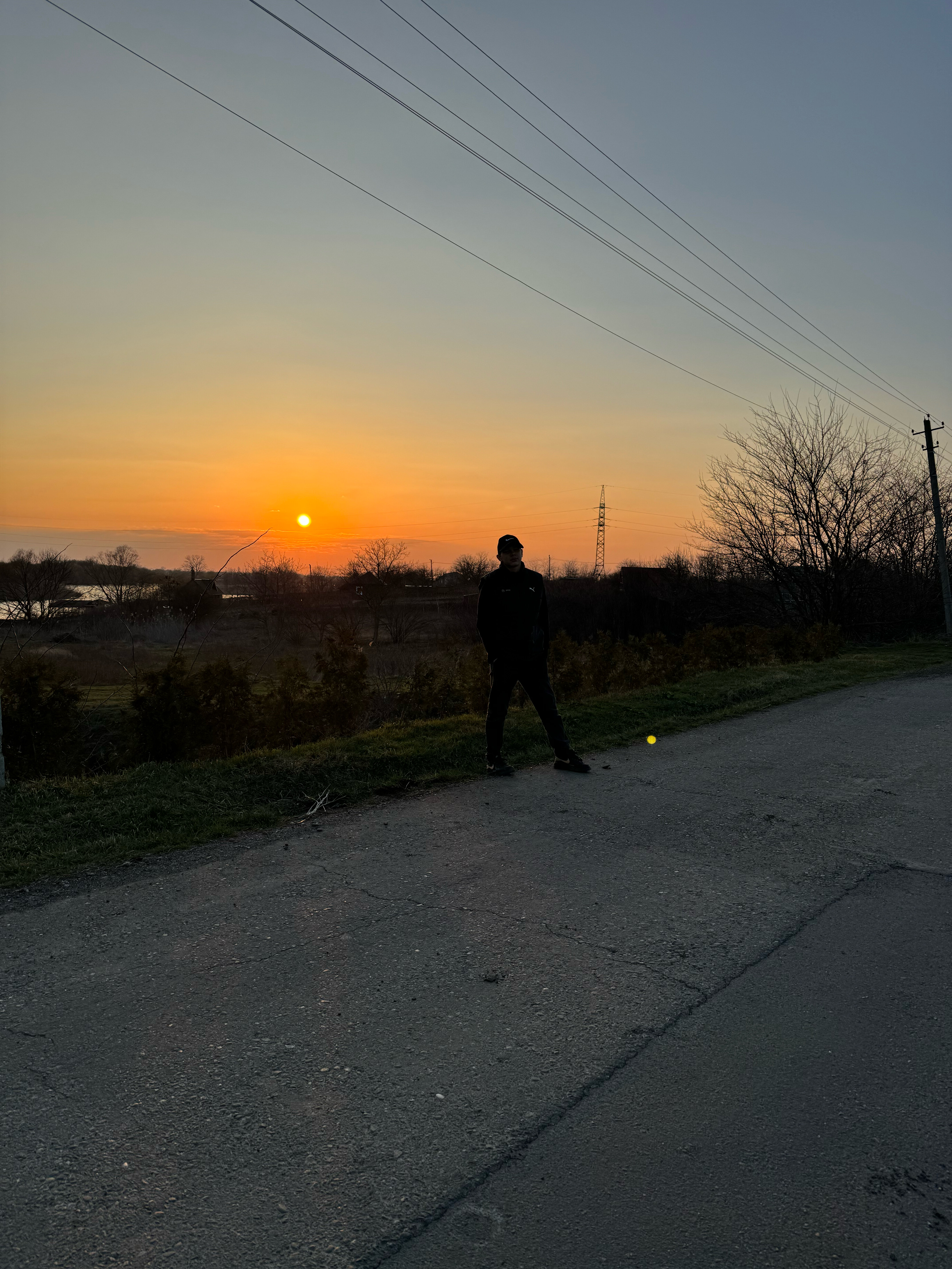 Фото Гнездо