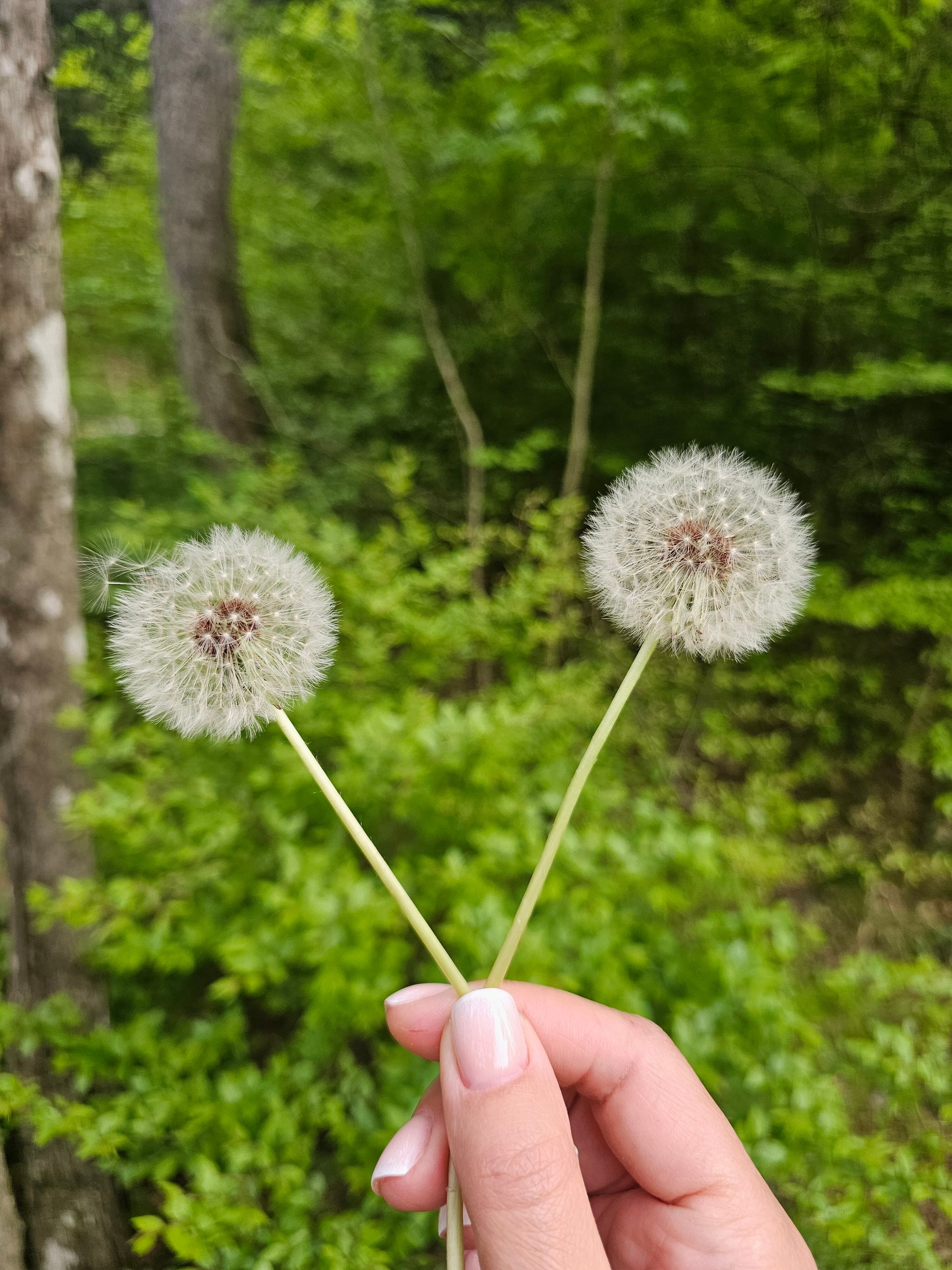 Фото Art House Hotel