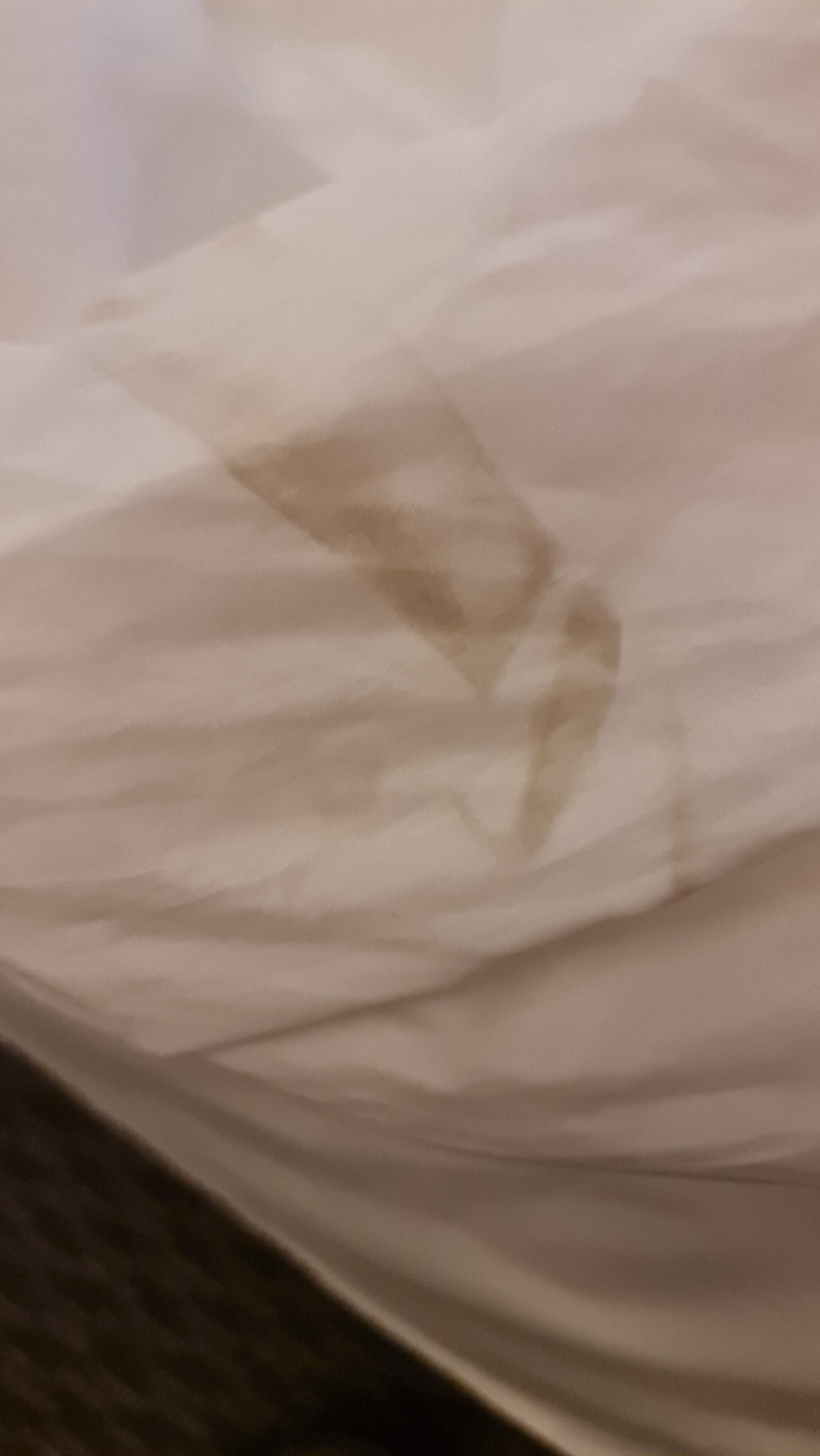 Фото Holiday Inn Express Lisbon Plaza Saldanha