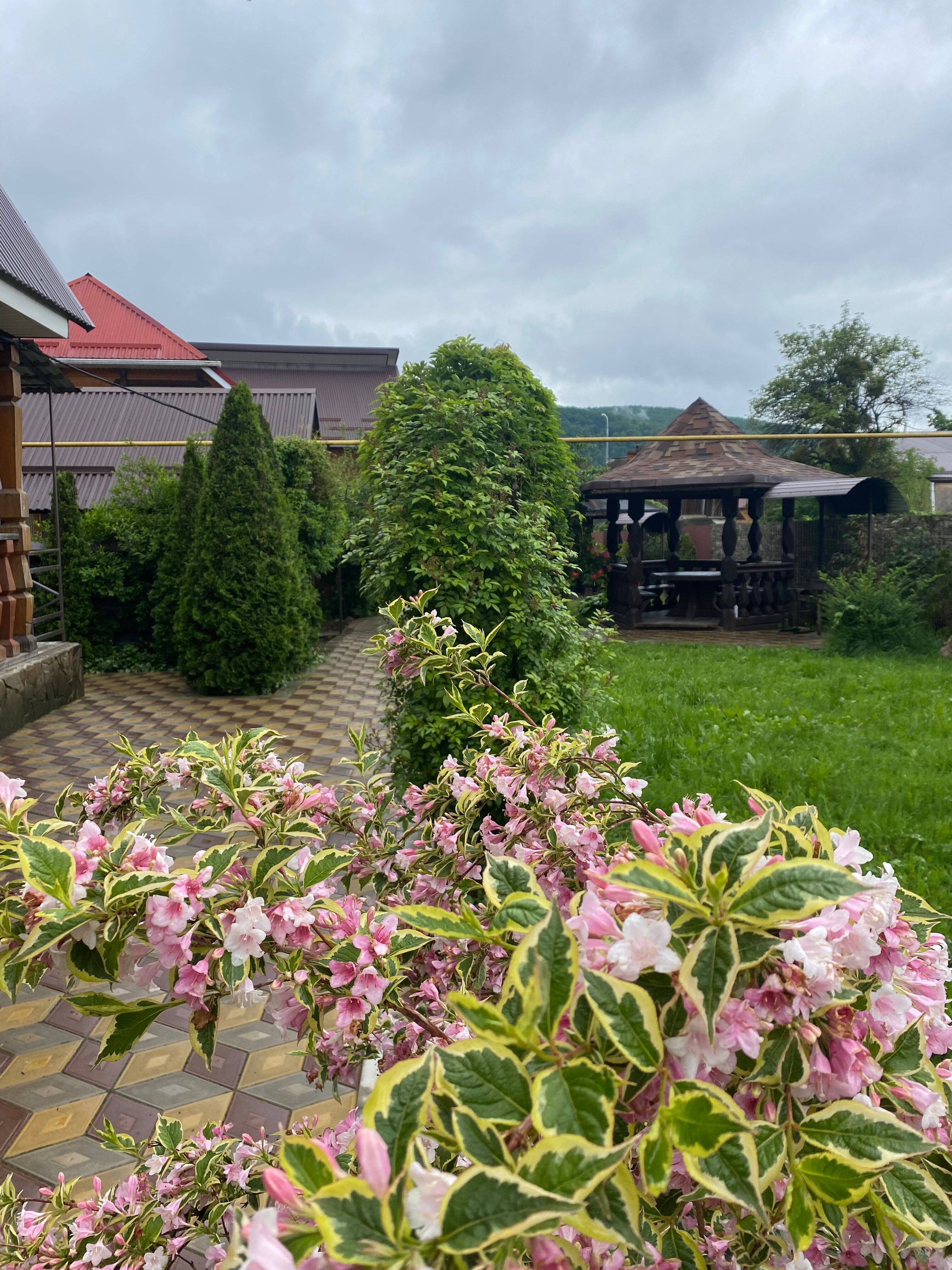 Фото Солнечный Хаджох