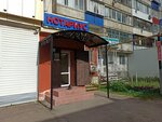 Нотариус (Qurmangazy Street, 102) notariuslar