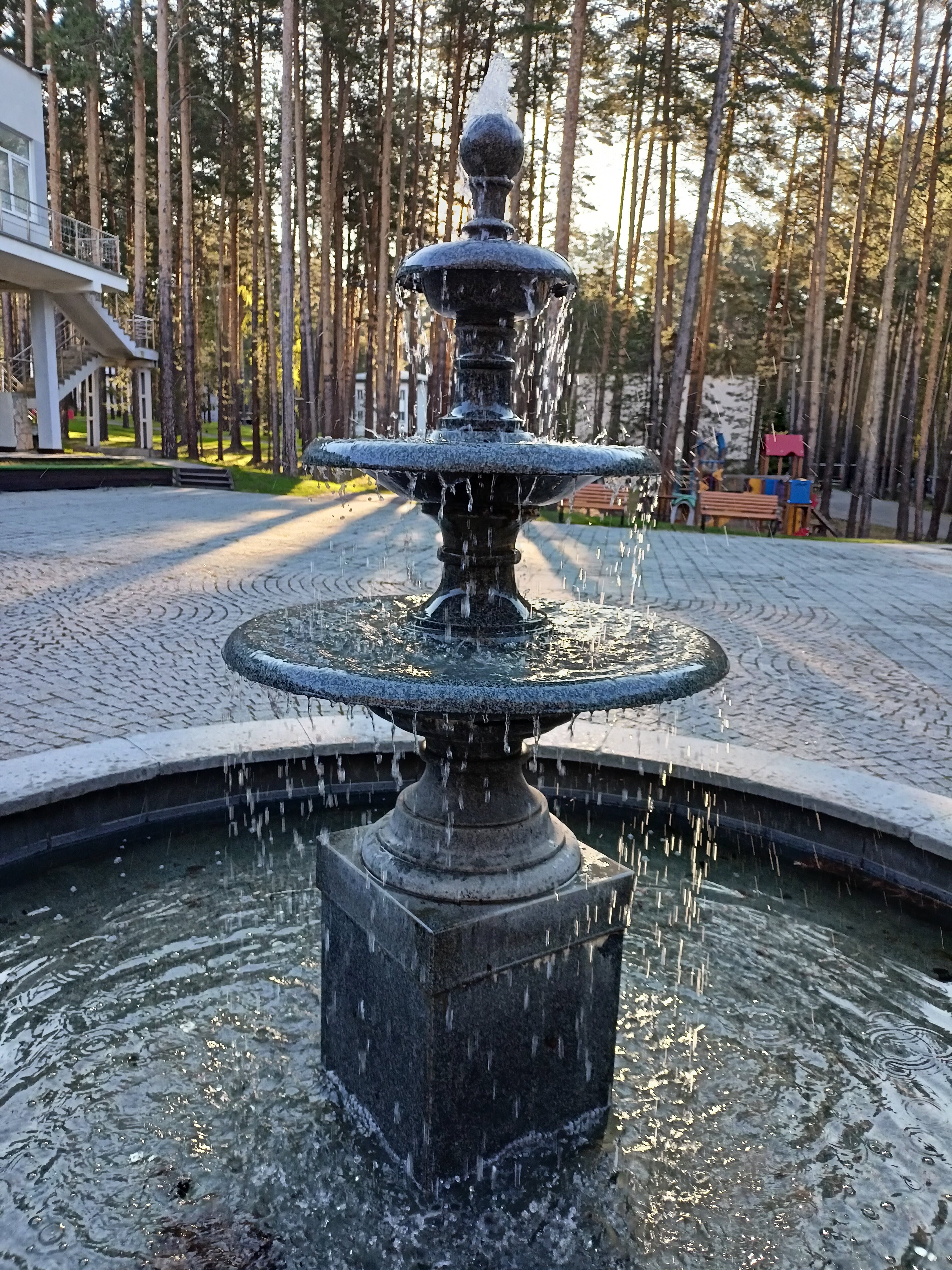 Фото Иволга