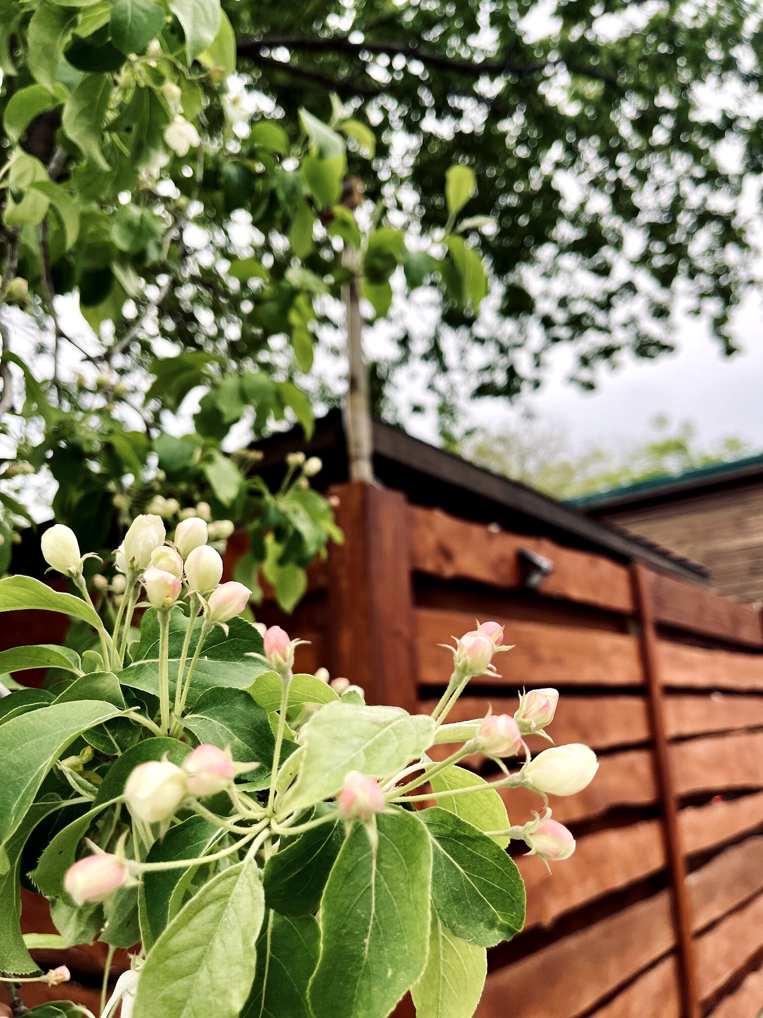 Фото ЭкоДом