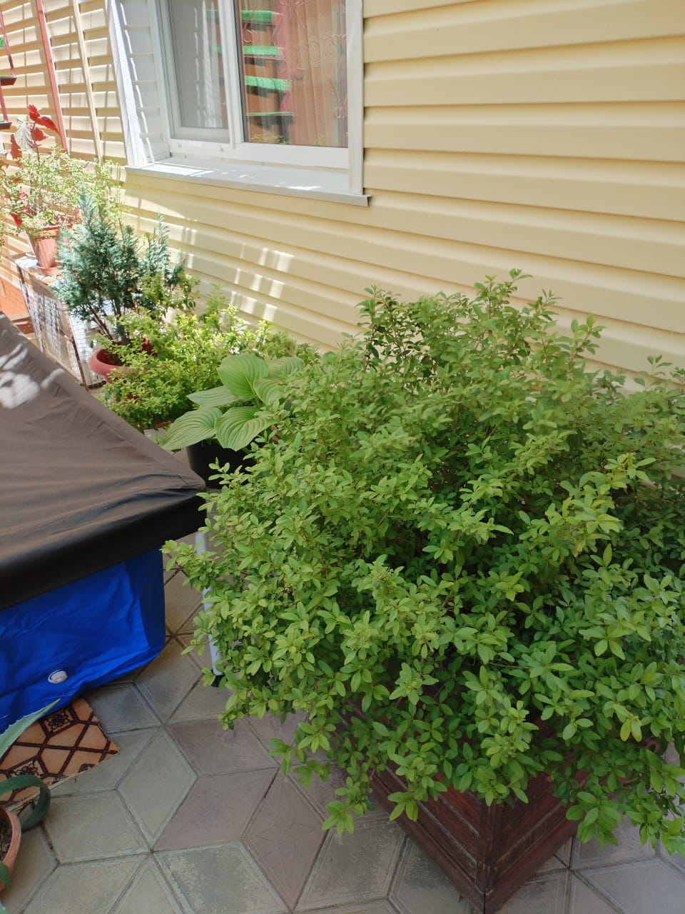 Фото У Натали